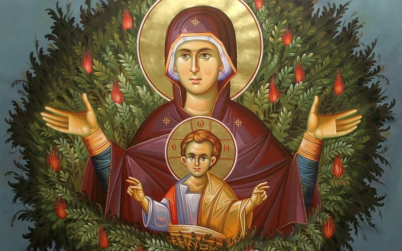 Newsletter for December 2025